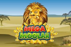Play Mega Moolah